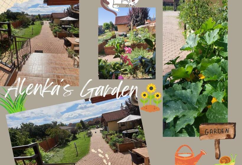 Bed and Breakfast U Alenky Na Záhrade