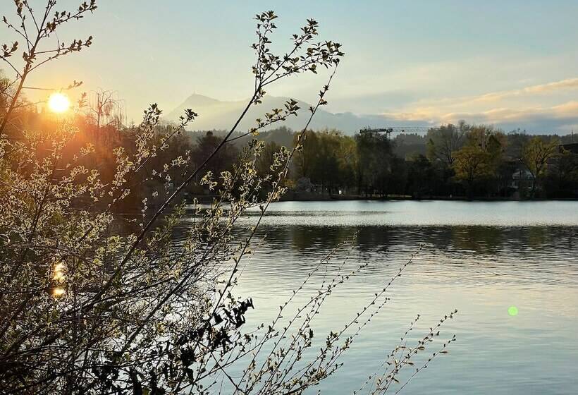 住宿加早餐 Villa Maria