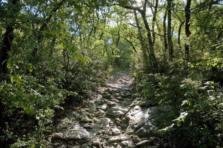 Ecogite Dans Les Cevennes Ardechoises