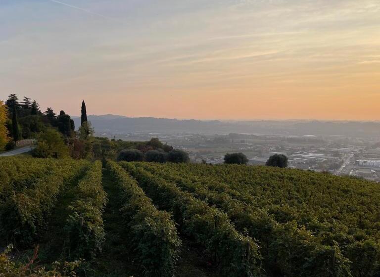 ホテル Agriturismo Ca  Verde