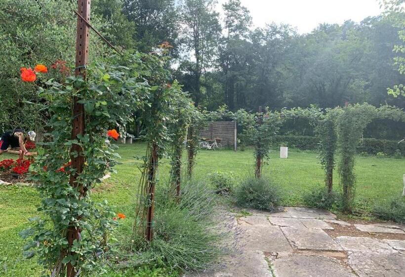 ホテル Agriturismo Ca  Verde