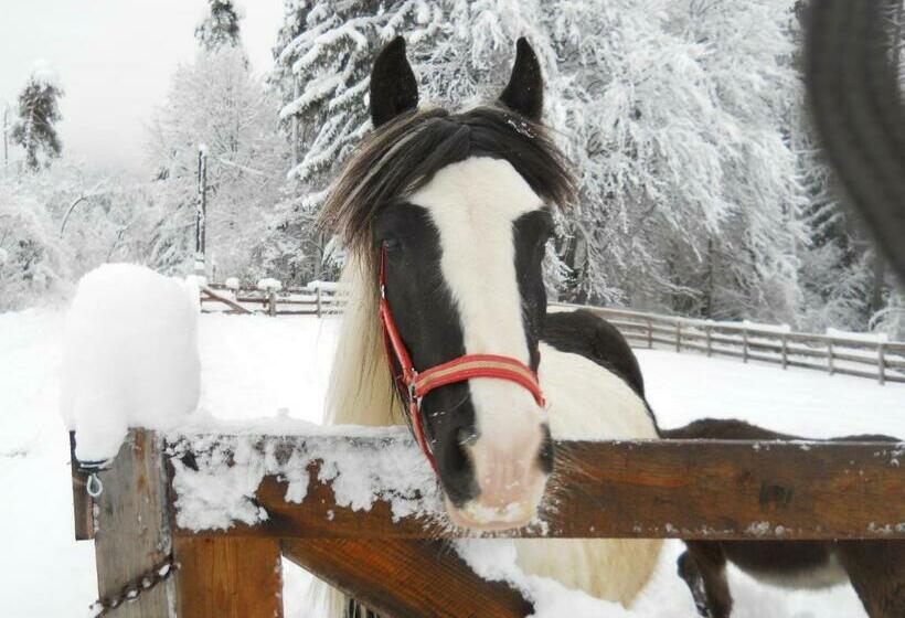 בית מלון כפרי Gästehaus Gapp