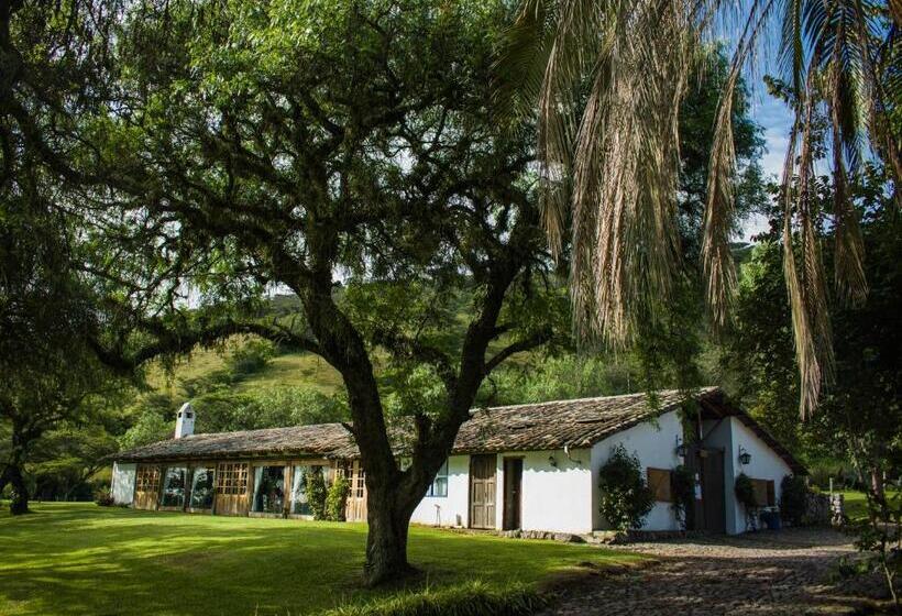 فندق Hacienda San Francisco