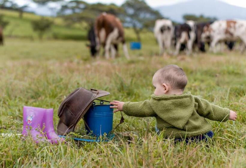 فندق Hacienda San Francisco
