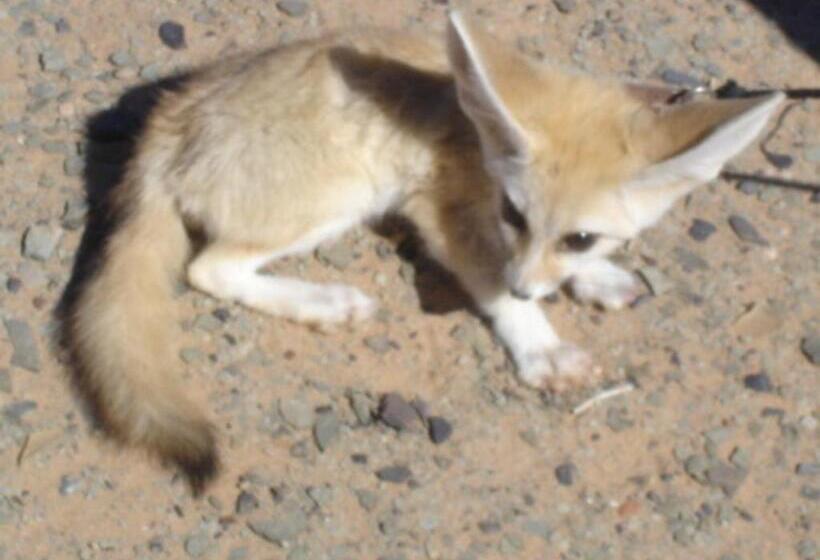 هتل Kasbah Yasmina