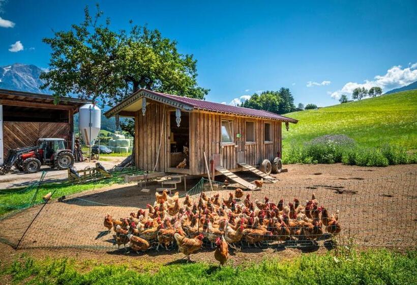 בית מלון כפרי Stillinghof