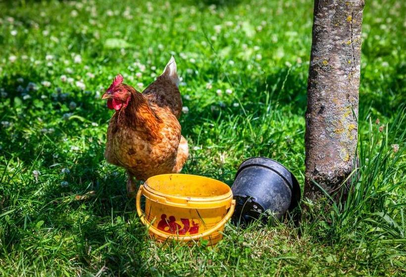 בית מלון כפרי Stillinghof