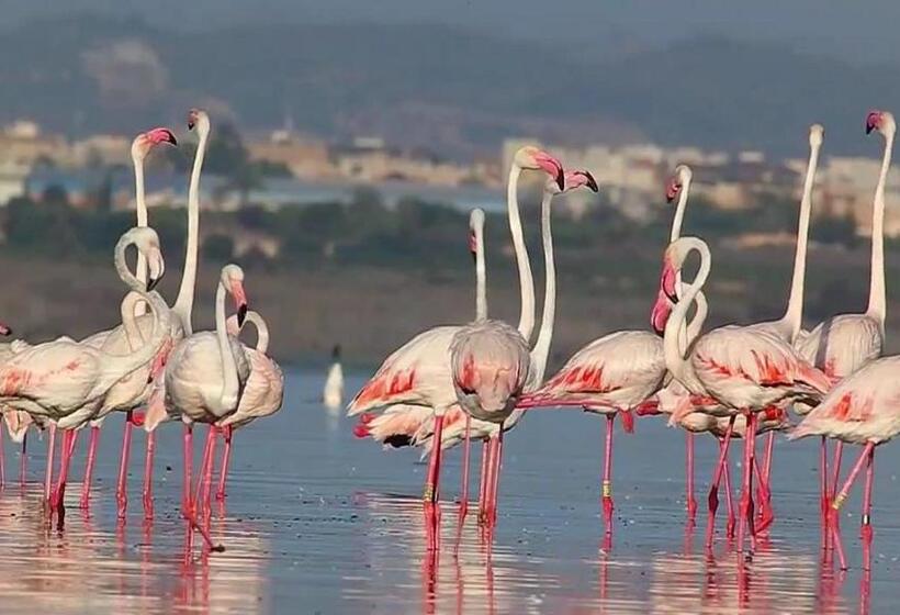 Lovely 1bedroom Renewed Apartment With 3 Pools