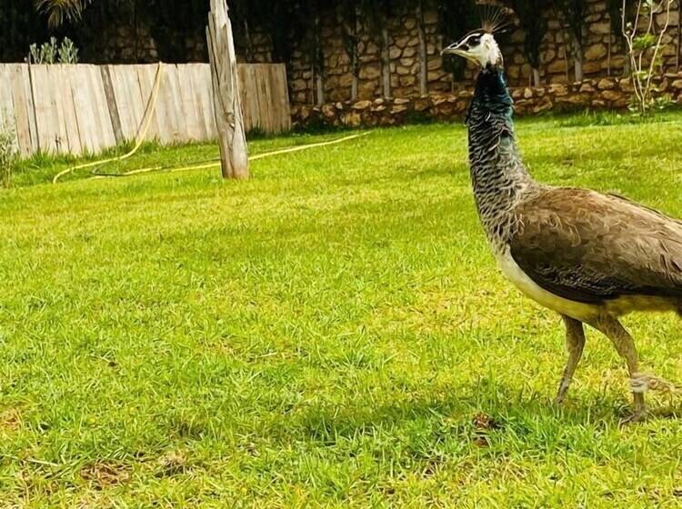 پانسیون Dar Ayman Essaouira