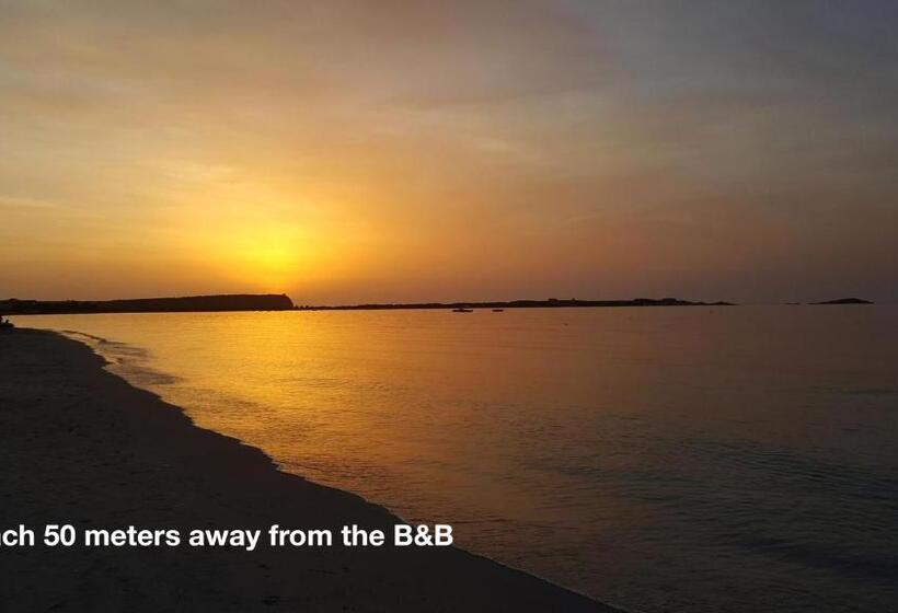 膳宿费 La Baia Apartments