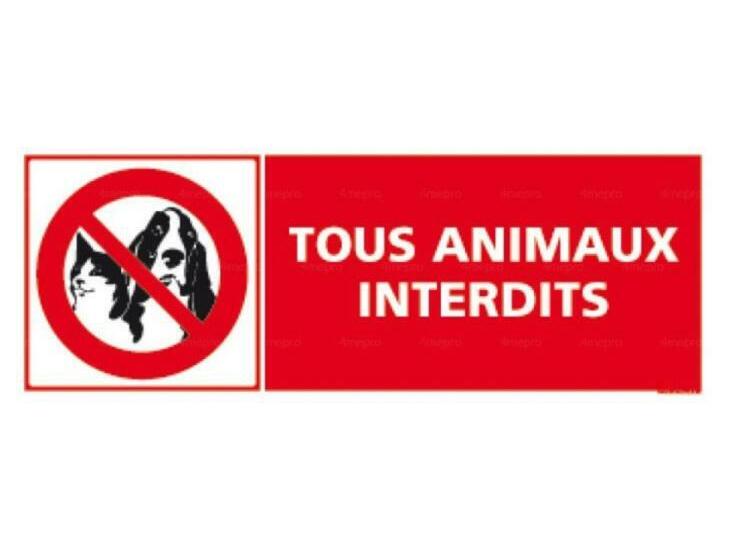 Пансион La Metairie Du Vauhariot Lodge Ou Chambre Piscine Chauffée Vue Mer Et Mont Saint Michel Gr34