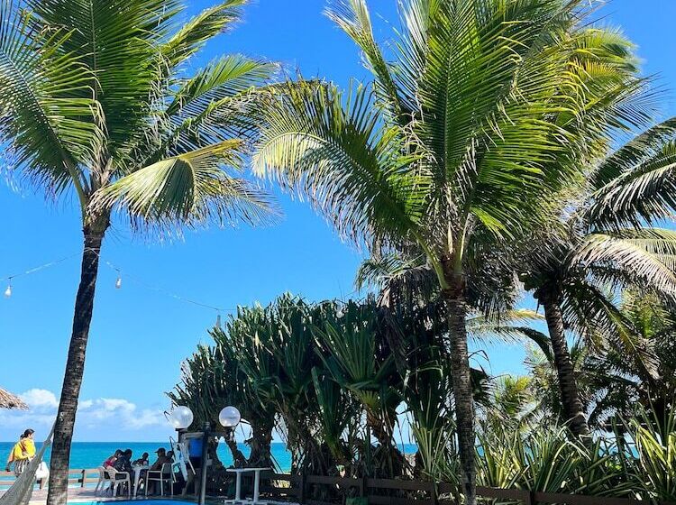 膳宿费 Mar A Vista