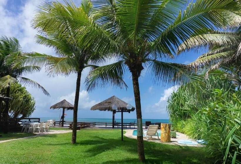 膳宿费 Mar A Vista