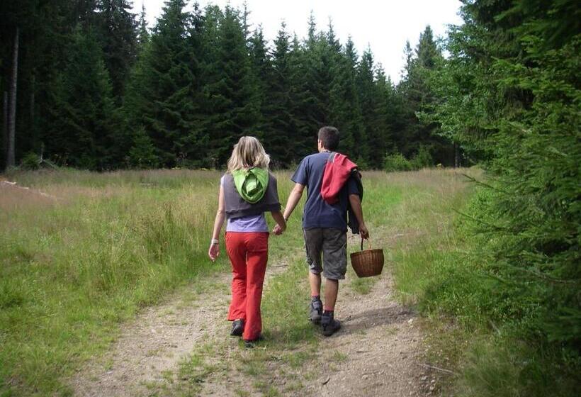 펜션 Penzion U Studeného Potoka