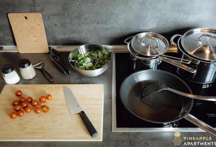 Pineapple Apartments Dresden Altstadt I   117 Qm   1x Free Parking