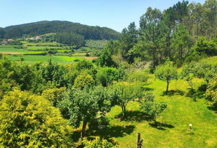 Raio Do Sol   Apartamento Turístico