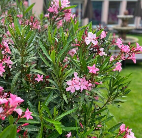 Spa & Wellness Hotel Orchidea