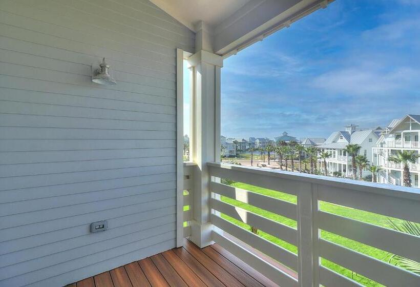 The Reel Deal 222 Gr