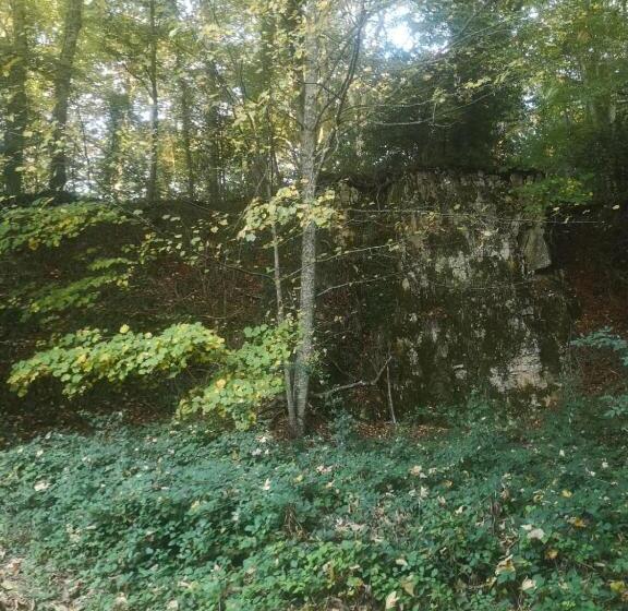 Villa Donà Appartamento:defensola