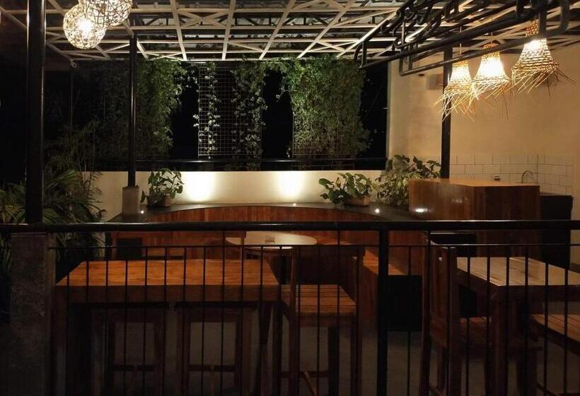 ユースホステル Green Turtle Backpackers Guesthouse, Puerto Princesa