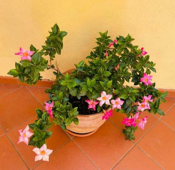 住宿加早餐  Casa La Roccia