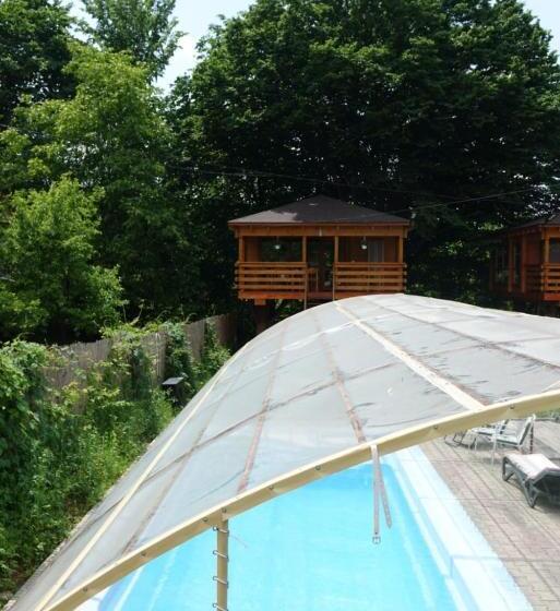 Casute In Copac & Case A Frame