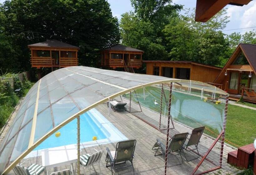 Casute In Copac & Case A Frame