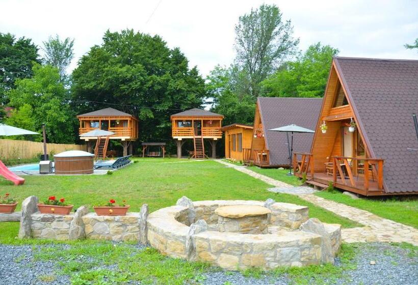 Casute In Copac & Case A Frame