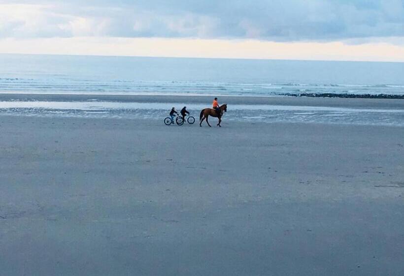 Chambre Tout Confort Avec Commodités Espace Repas Wifi Parking