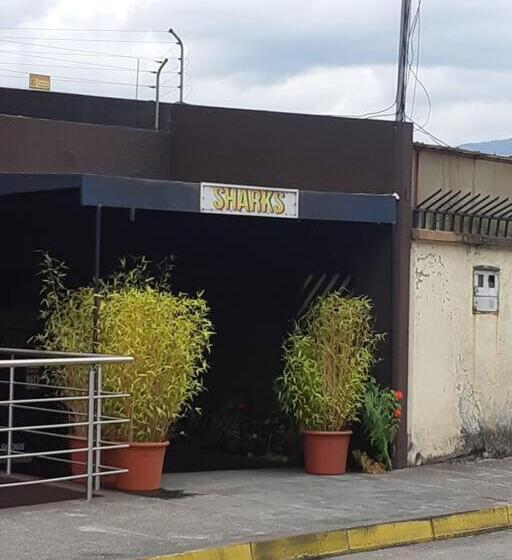 Comoda Suite Centrica Cuenca