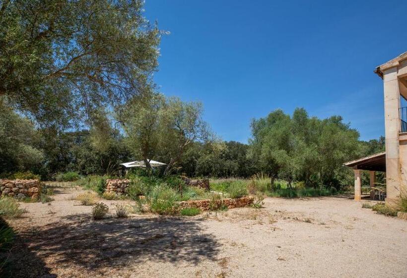 Costitx 39376 Mallorca