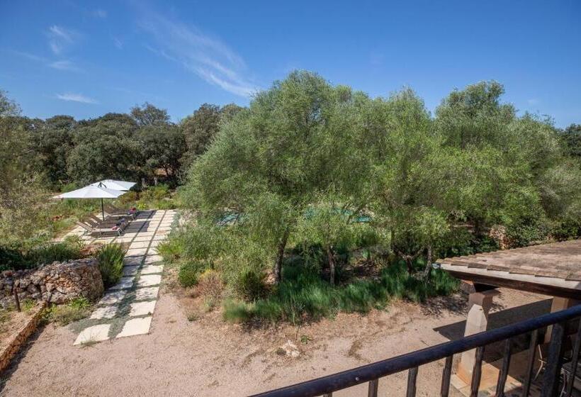 Costitx 39376 Mallorca