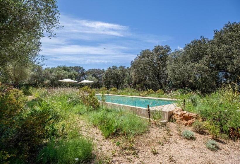 Costitx 39376 Mallorca