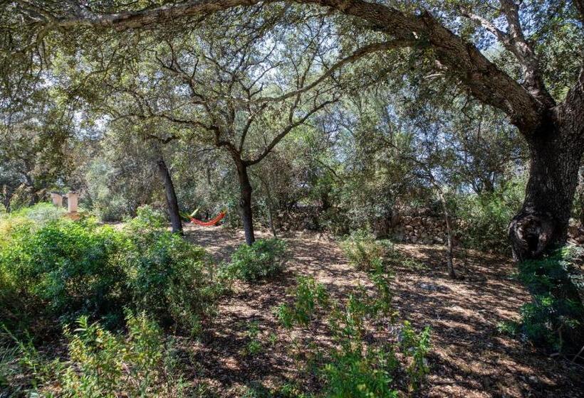 Costitx 39376 Mallorca