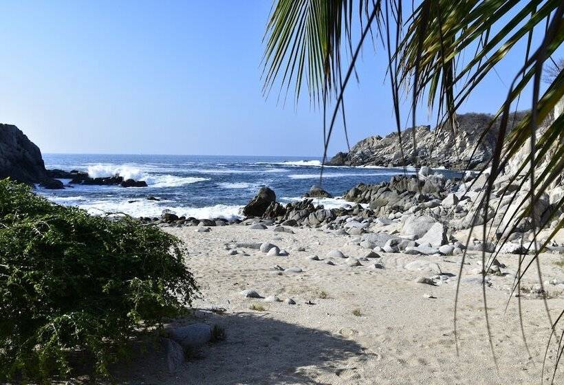 ホテル Coral Blue Huatulco