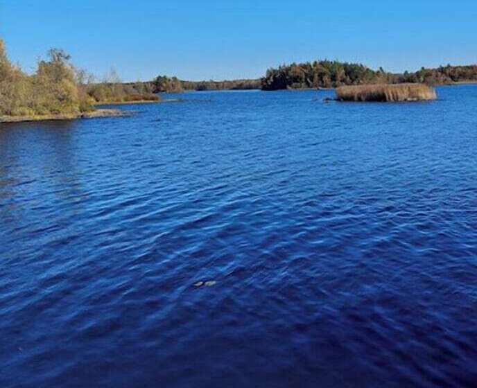 호텔 Möckelsnäs Herrgård