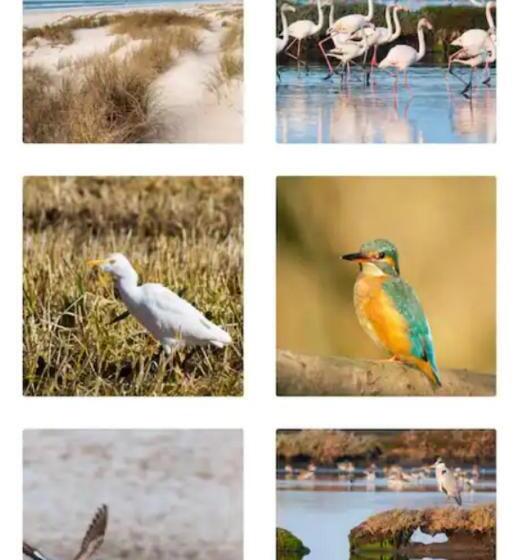 O Cantinho Entre A Ria E O Mar With Hot Water Pool All Year Round