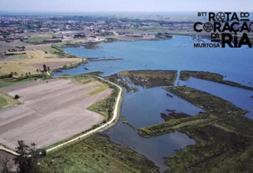 O Cantinho Entre A Ria E O Mar With Hot Water Pool All Year Round