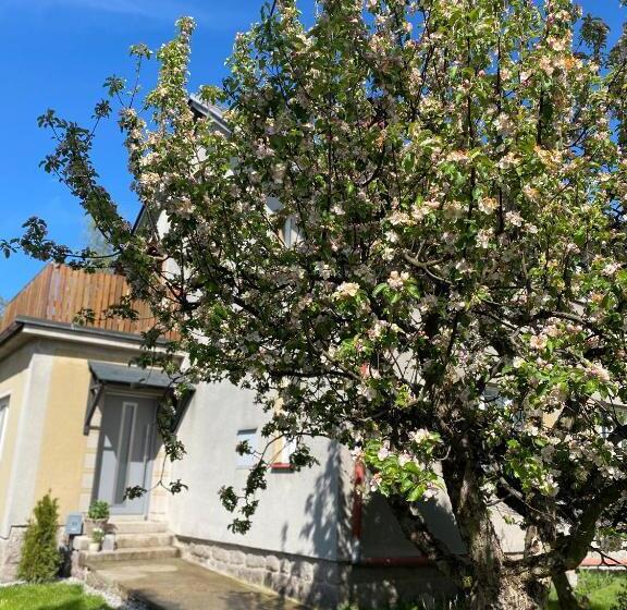 Panda Apartmán Frýdštejn