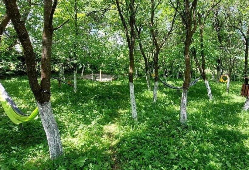 ペンション Casa Grai Moroșănesc