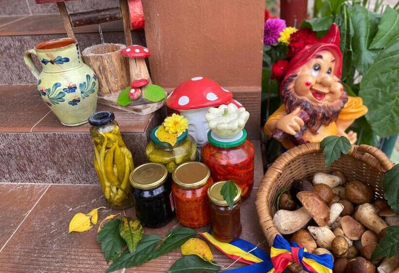 ペンション Casa Grai Moroșănesc