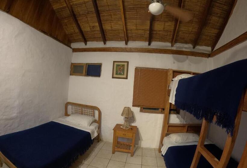 پانسیون Hostal Solemare