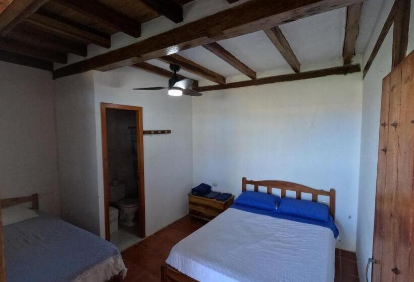 پانسیون Hostal Solemare