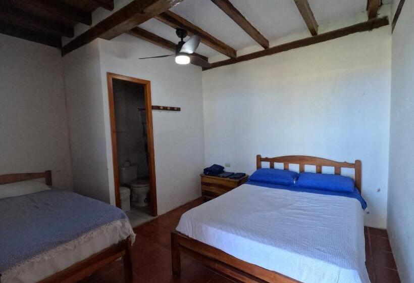 پانسیون Hostal Solemare