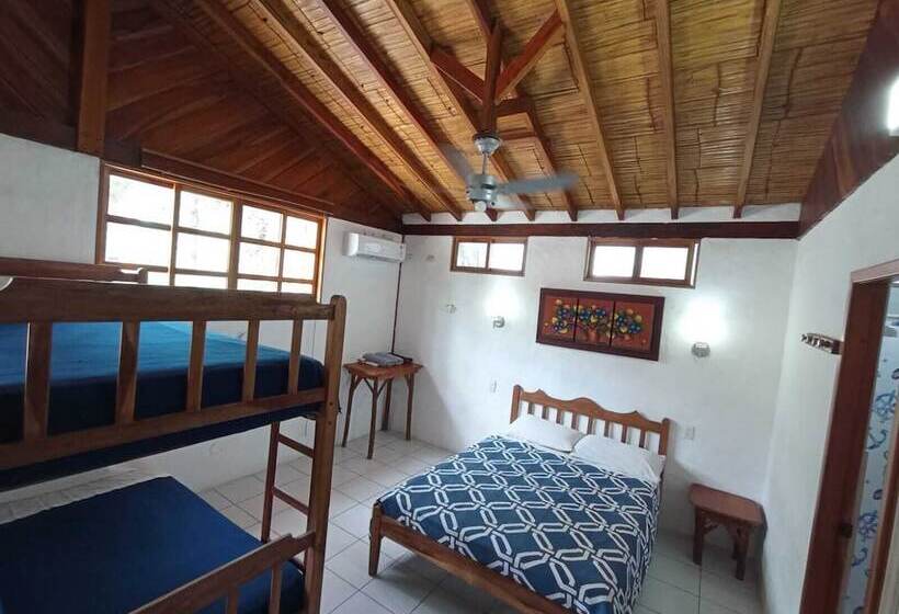 پانسیون Hostal Solemare