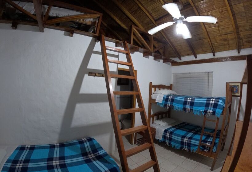 پانسیون Hostal Solemare