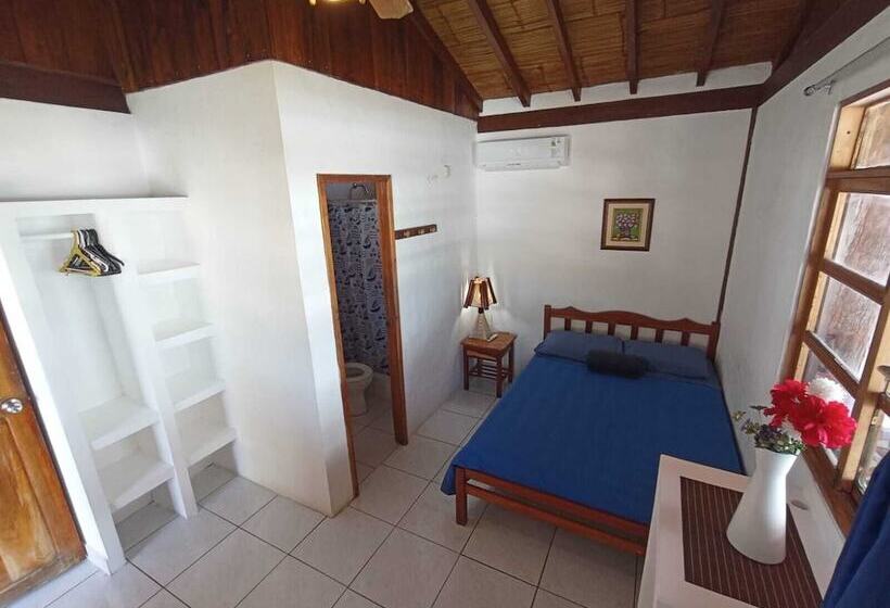 پانسیون Hostal Solemare