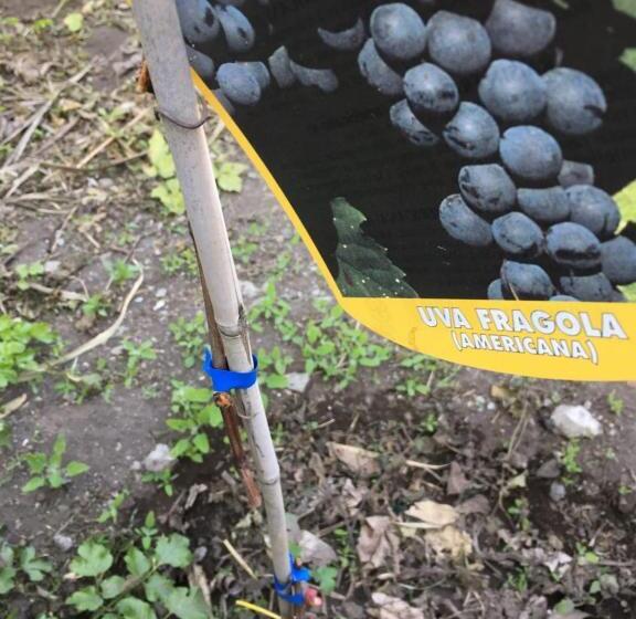 펜션 The Lighthouse Room