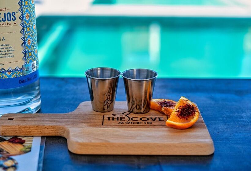 The Cove Boutique Hotel Adults Only