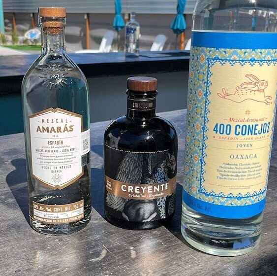 The Cove Boutique Hotel Adults Only